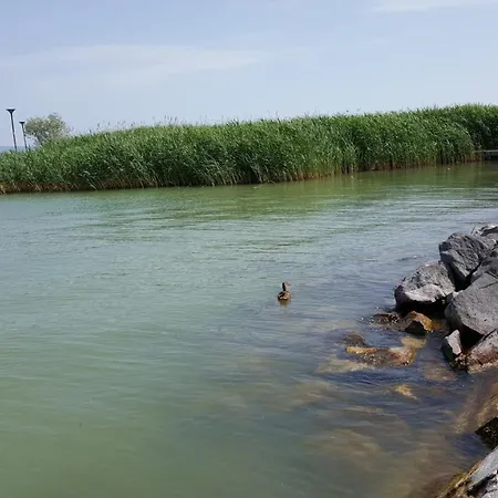 Lelle B20 Apartment *