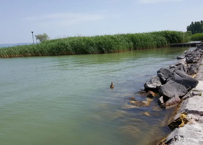 Lelle B20 Apartment *